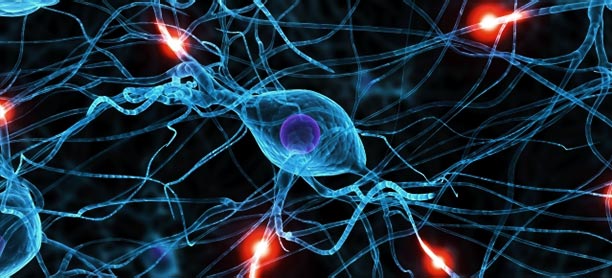implicit-memory-blog-panel